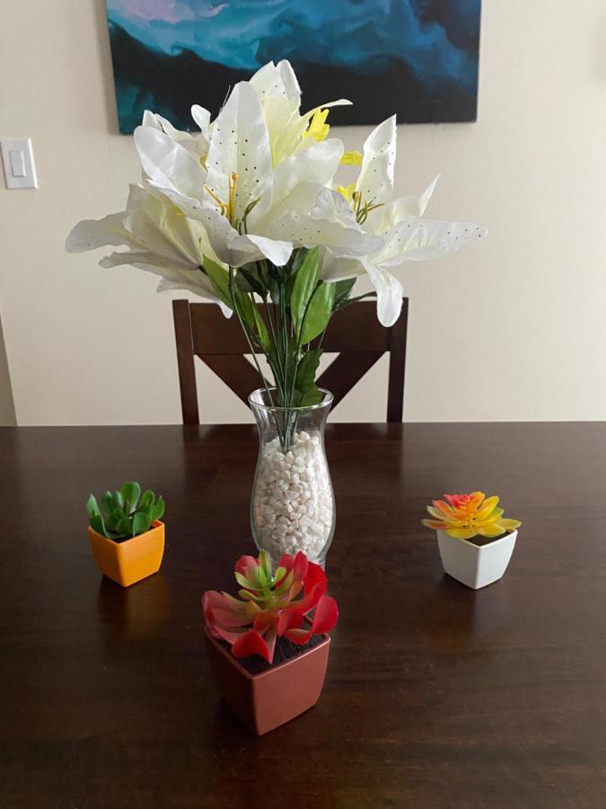 Private Room In South Philly Near Arenas! 费城 外观 照片