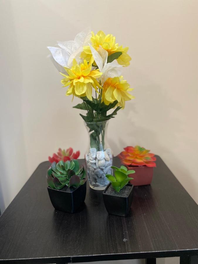 Private Room In South Philly Near Arenas! 费城 外观 照片