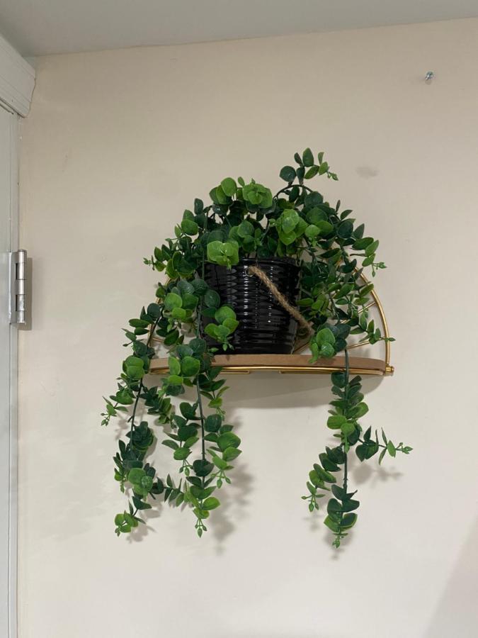 Private Room In South Philly Near Arenas! 费城 外观 照片